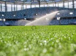 林志玲庆,岁生日发布,六谢信,BaoWei,Sports,宝威体育,体育直播,体育赛事,APP下载,官方网地址